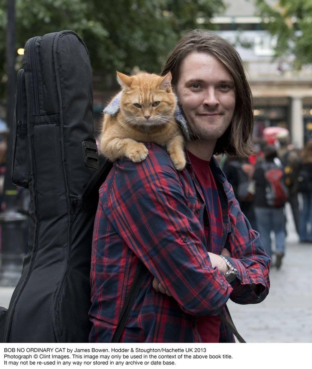 The Bookseller (@thebookseller) on Twitter photo "There’s never been a cat like him. And never will again"—sad news as James Bowen's (<a href="/StreetCatBob/">StreetCat Bob</a>) cat Bob has died. Bowen credits the rescue cat as his saviour, as their adventures live on via screen and page. More here: bit.ly/3e92Jls "There’s never been a cat like him. And never will again"—sad news as James Bowen's (<a href="/StreetCatBob/">StreetCat Bob</a>) cat Bob has died. Bowen credits the rescue cat as his saviour, as their adventures live on via screen and page. More here: bit.ly/3e92Jls