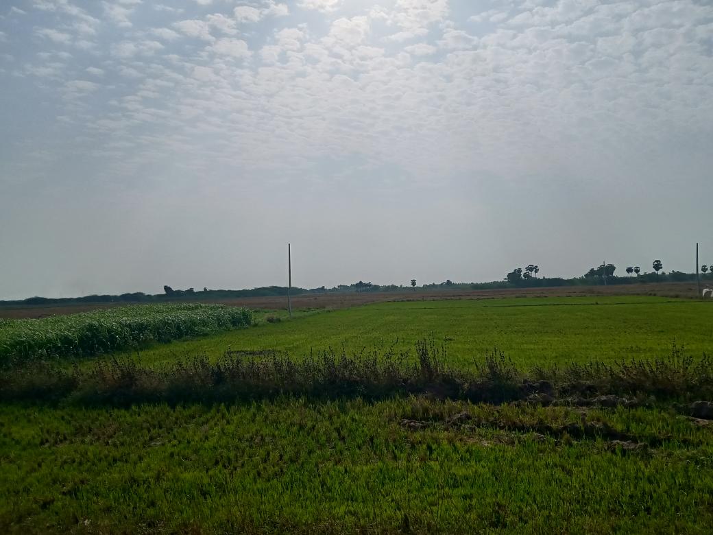 Nature love  #NatureLove #MadhuriClicks