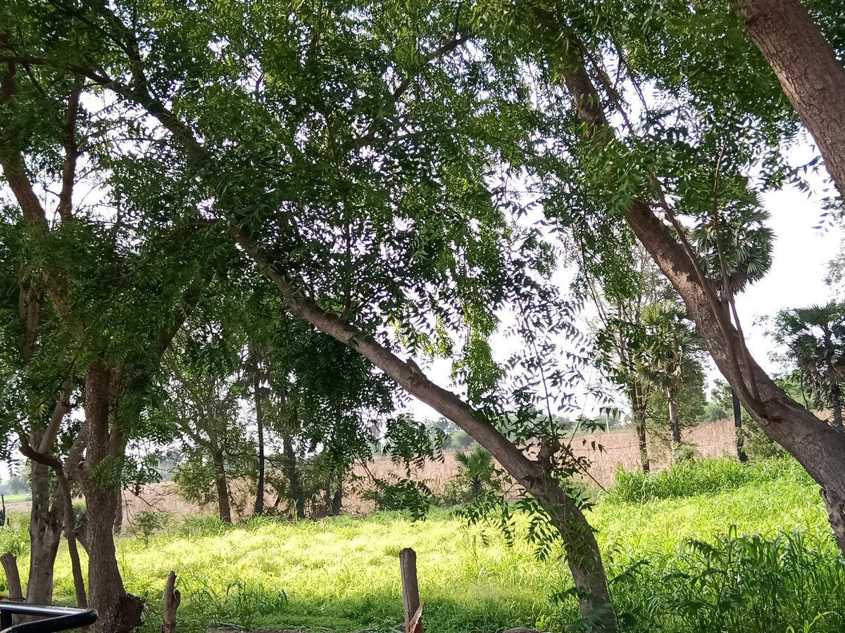 Nature love  #NatureLove #MadhuriClicks