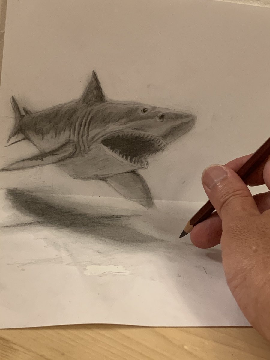 Twitter 上的 チャック デザイン会社営業 3ddrawing サメ トリックアート イラスト 練習 鉛筆画 やっぱホホジロザメは かっこいい 夜のイラスト練習 T Co A1ri5cpmio Twitter
