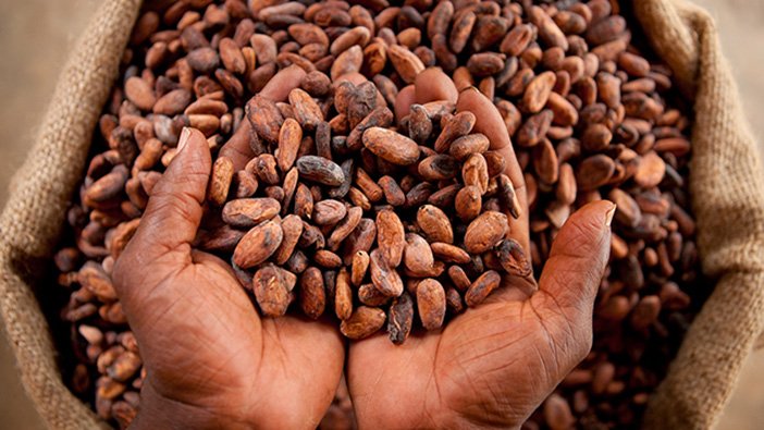 Ghana is the Second Largest Cocoa producer in the World after Ivory Coast. Cocoa is the chief agricultural export of Ghana .