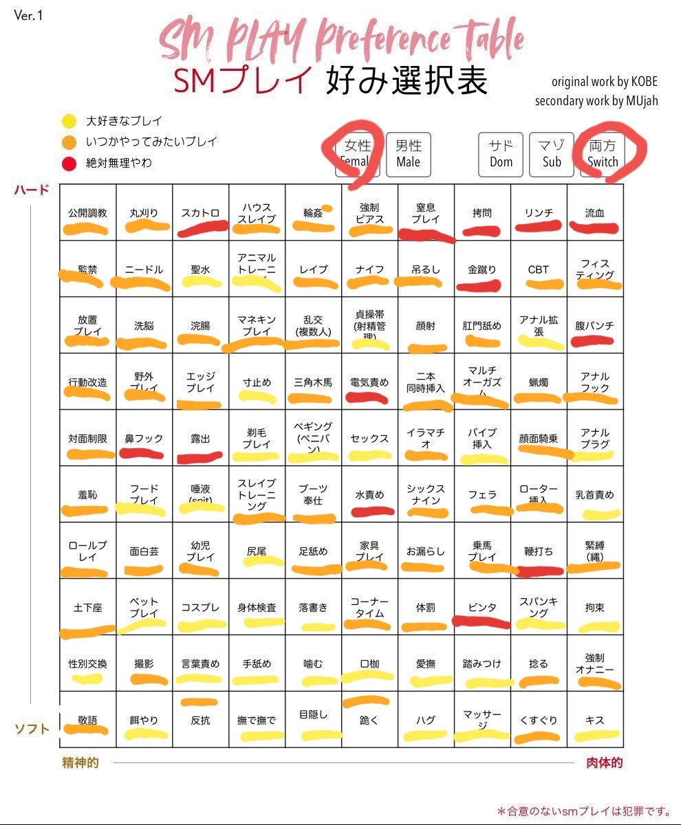 Smプレイ好み選択表 Smプレイ好み選択表