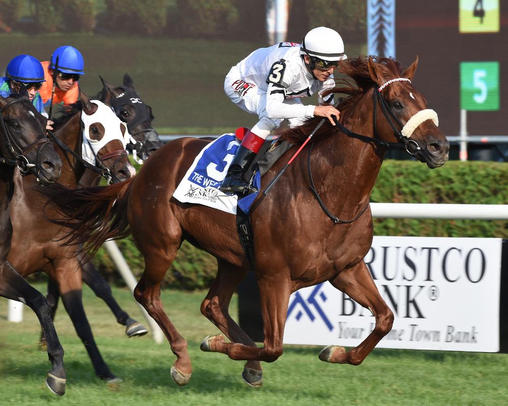 padrillos's tweet photo. GET JETS, PROPIEDAD DE HARAS SAN IGNACIO, ESTARÁ DE PADRILLO EN HARAS LIZZIE.
Revisa el artículo completo en:
https://t.co/cRmJSPVA1b
#GetJets #HarasLizzie #HarasSanIgnacio #Stallion #Padrillo https://t.co/A3pYsGSfp9