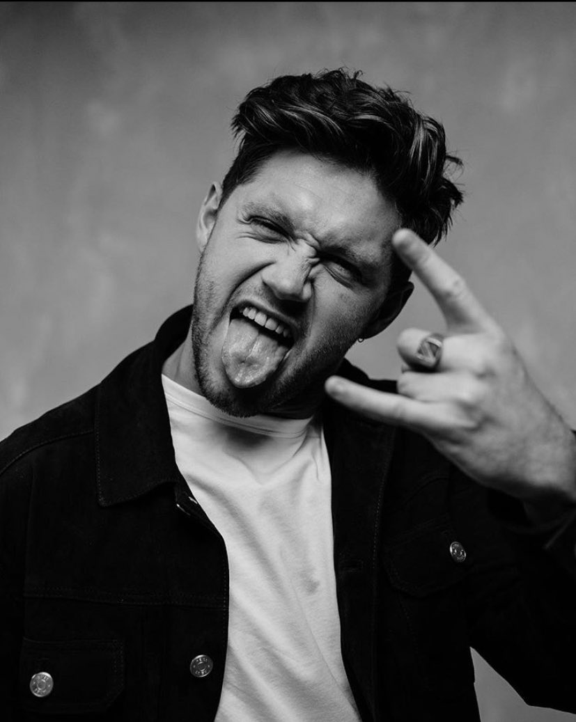 vicsfalling's tweet image. Theo Horan as Niall Horan; a thread.