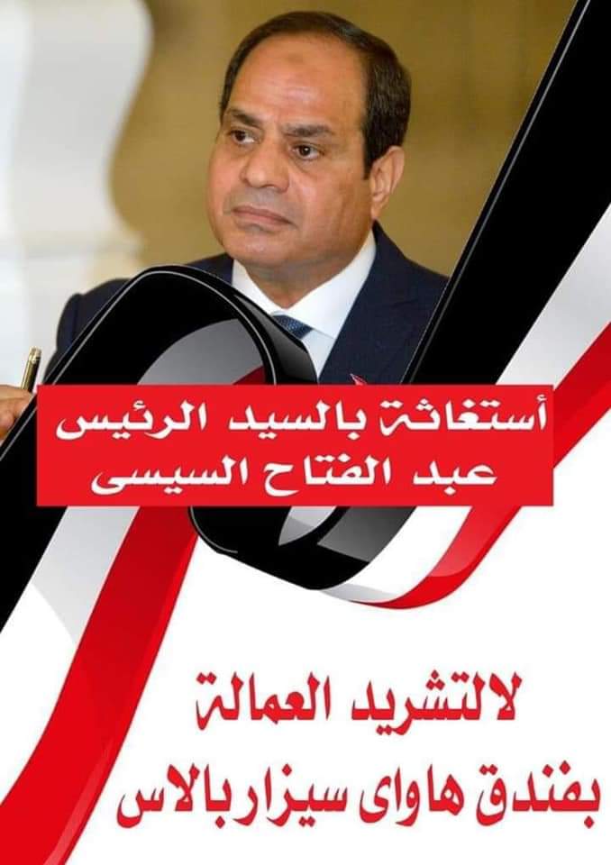 mohammed_tayea's tweet photo. #ادعم_هاواى_سيزار https://t.co/IRUle3vHro