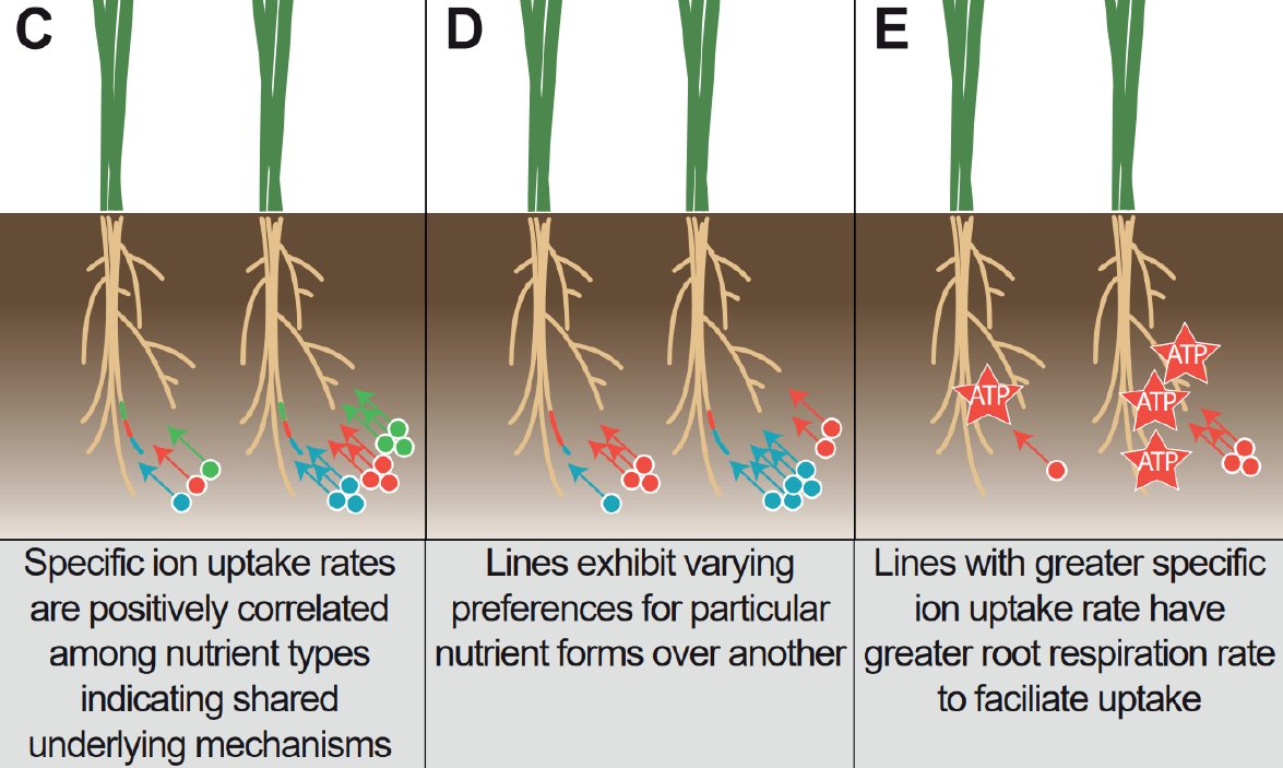 Larry M. York tweet media