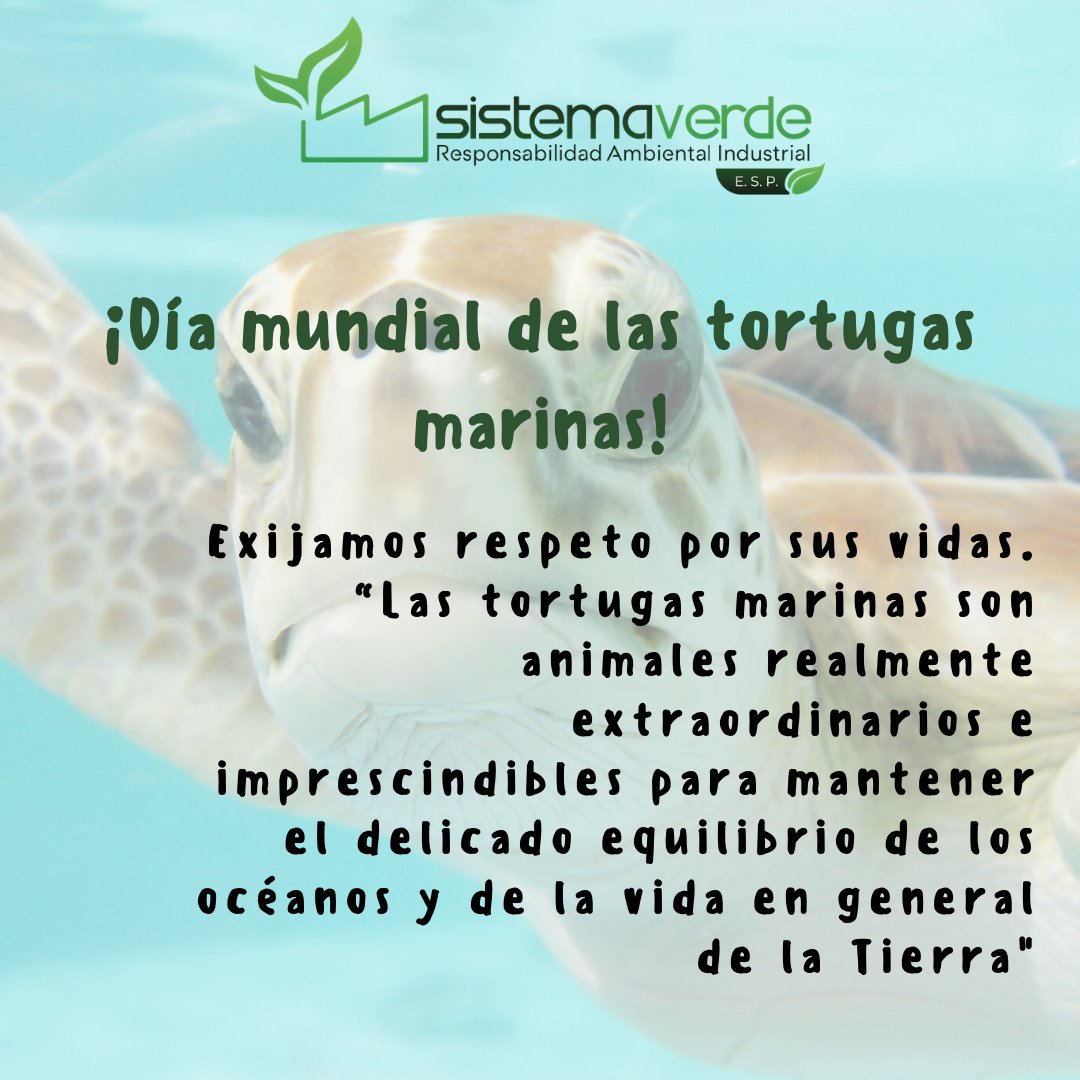 Sistema Verde tweet media