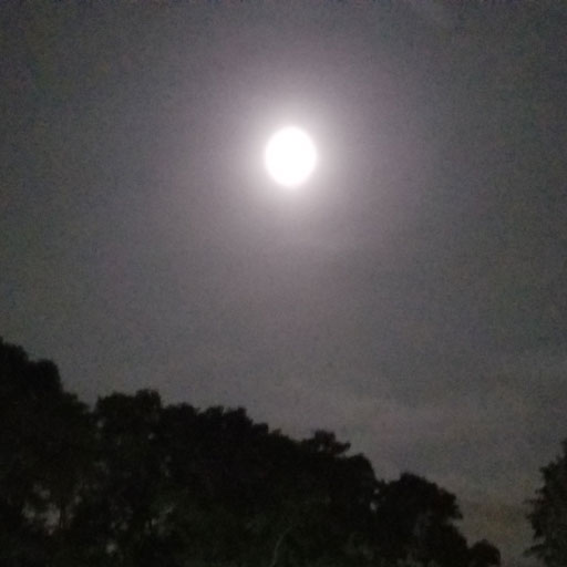 New relaxing soundscape in the Dreamear app - "Summer Night Backyard II". Listen here
travelear.page.link/Dreamear
#meditation #relaxingsounds #dreamear #realax