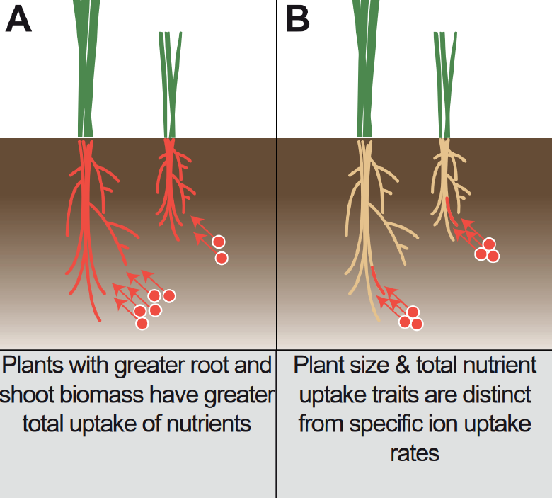 Larry M. York tweet media