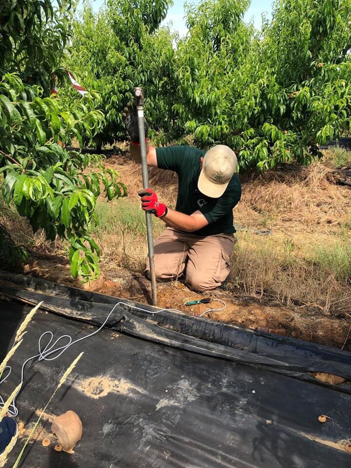 agroconecta's tweet photo. Instalando #sensoresinalambricos  en finca #paraguayos #nectarinas  #ecológico en #Acedera proyecto #modifier de @CTAEX_CIT #temperatura #humedad #humedadsuelo #datosentiemporeal #proyectosIoT #energiasolar https://t.co/XlwWGQGjx7