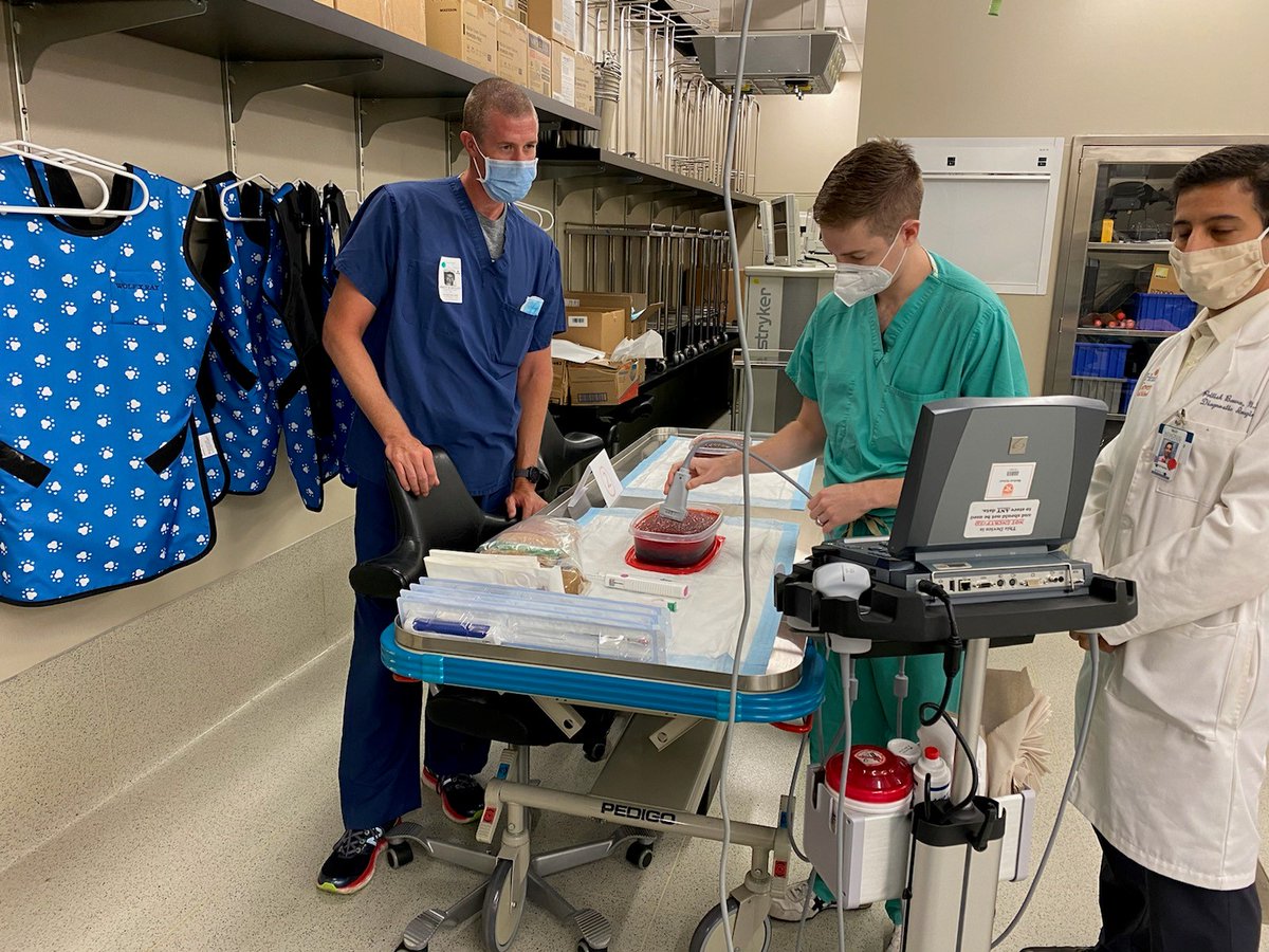 ArgonMedical's tweet photo. Our team hosted a successful image-guided biopsy and centesis training with the medical students and residents at UT Health McGovern School of Medicine in Houston, TX last week. A huge thank you to Dr.@ZagumBhatti for allowing us this opportunity! Visit: https://t.co/5rLoLMA9Et https://t.co/evo5gZ1ovK