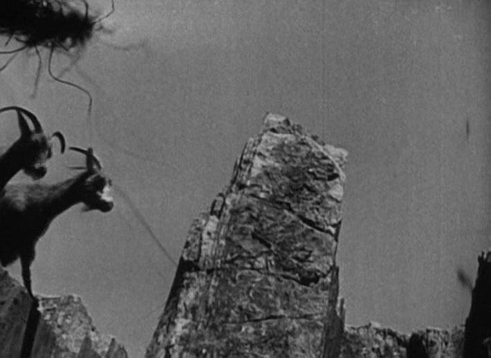 bopsfjk's tweet photo. #bunuel #Landwithoutbread https://t.co/Uql8PnkUxN
