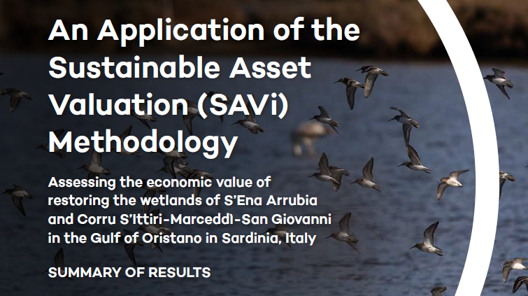 IISD Economies tweet media