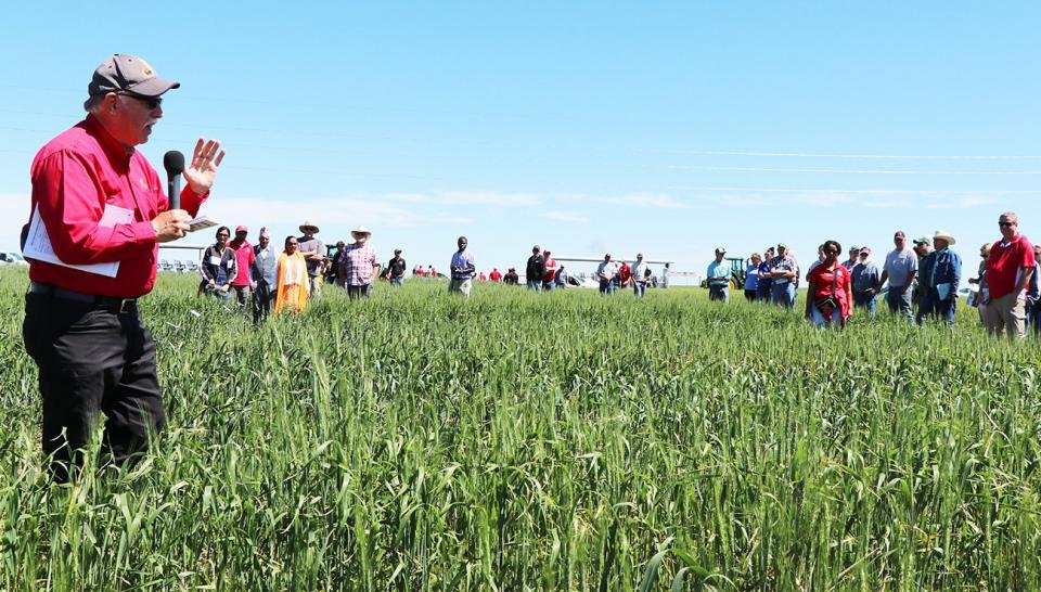 Cody Creech (@ne_drylandcrops) on Twitter photo Today near Chappell at 5 and tomorrow near Hemingford at 3 and 5 you can view wheat performance trials and catch <a href="/Huskerwheat/">UNL Small Grains Breeding- Frels Lab</a> discussing wheat varieties. Appreciate these grower cooperators for hosting these events since the traditional in-person event at HPAL will not happen Today near Chappell at 5 and tomorrow near Hemingford at 3 and 5 you can view wheat performance trials and catch <a href="/Huskerwheat/">UNL Small Grains Breeding- Frels Lab</a> discussing wheat varieties. Appreciate these grower cooperators for hosting these events since the traditional in-person event at HPAL will not happen