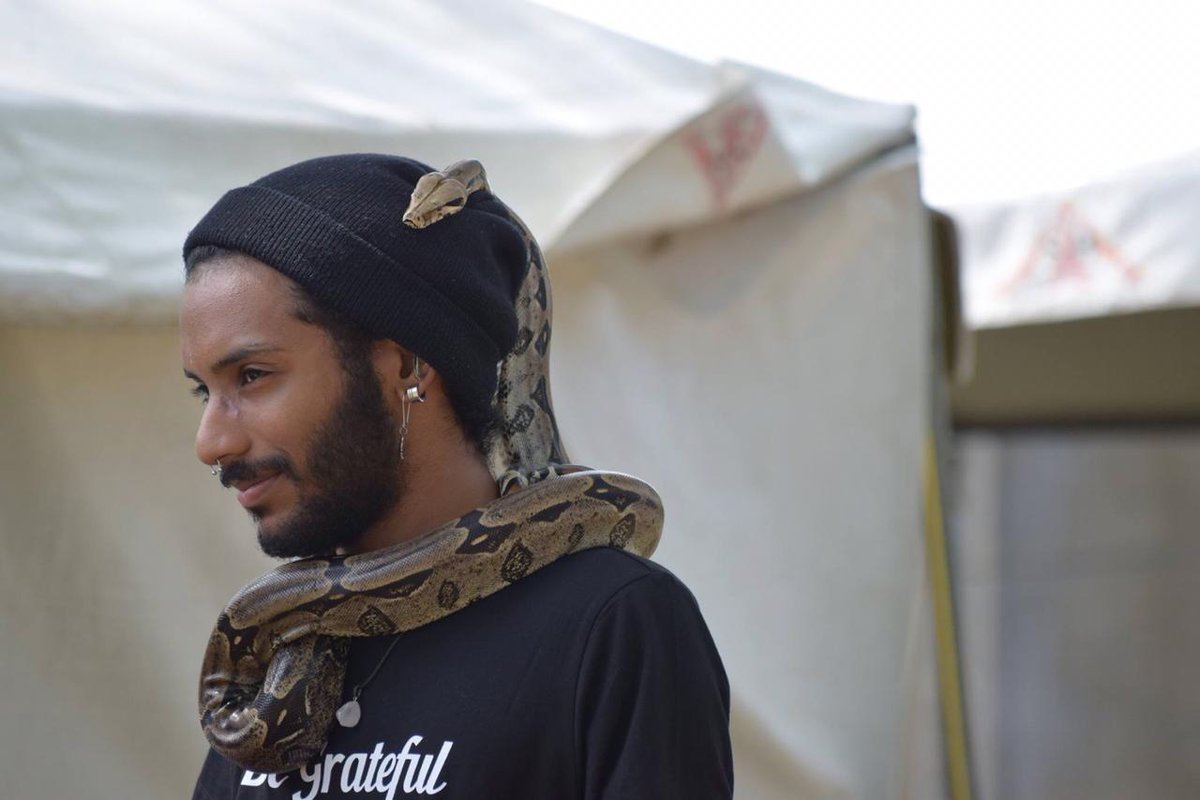 As someone who cares for snakes and has had pet snakes in the past (and probs will in future), this hurts my heartRed Tailed Boas are such stunning creatures They're essentially harmless, mostly feeding on small mammals and things Non-venomousNot aggressive Why would you???  https://twitter.com/DialShania/status/1272420473658368004