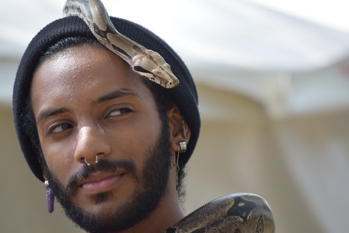 As someone who cares for snakes and has had pet snakes in the past (and probs will in future), this hurts my heartRed Tailed Boas are such stunning creatures They're essentially harmless, mostly feeding on small mammals and things Non-venomousNot aggressive Why would you???  https://twitter.com/DialShania/status/1272420473658368004