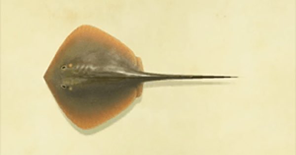 41. ray got nothing to say except RIP steve irwin