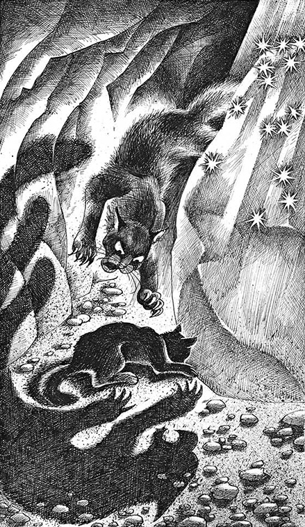 midnight's cave from the russian golden illustrations : r/WarriorCats