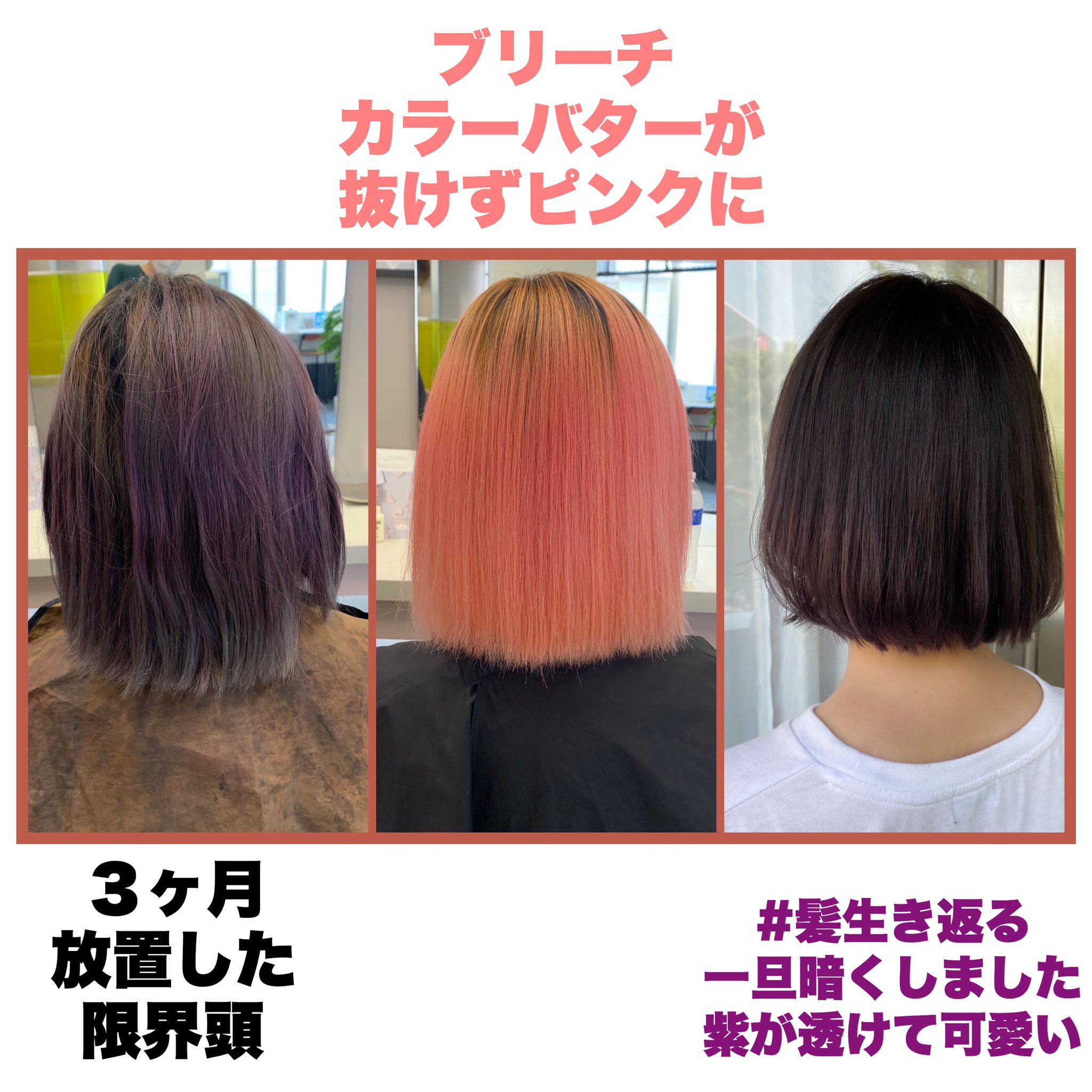 鹿の間 金髪頭に自分でカラーバター紫を入れたじゃないですか あの紫が強烈過ぎてブリーチしても金に抜けなくピンクになりました そこから綺麗に染めてもらい髪 も切ってスッキリ 髪の毛が生き返りました やっぱわたしは昭和アイドルに憧れがあるので 鹿の間 金髪頭に自分でカラーバター紫を入れたじゃないですか あの紫が強烈過ぎてブリーチしても金に抜けなくピンクになりました そこから綺麗に染めてもらい髪 も切ってスッキリ 髪の毛が生き返りました やっぱわたしは昭和アイドルに憧れがあるので