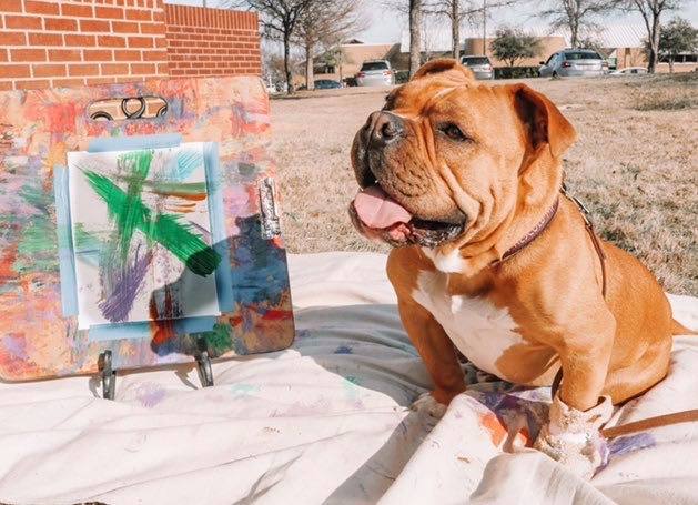 We would like to welcome back Ducky, the new face of Turtle The Painting Pit Bull, as a special guest at Spooky Spectacle 2020! Meet him and learn about his important mission on September 26 and 27 at the <a href="/LakeGranburyCC/">Lake Granbury Conference Center</a> in <a href="/VisitGranbury/">Visit Granbury</a>, Texas!