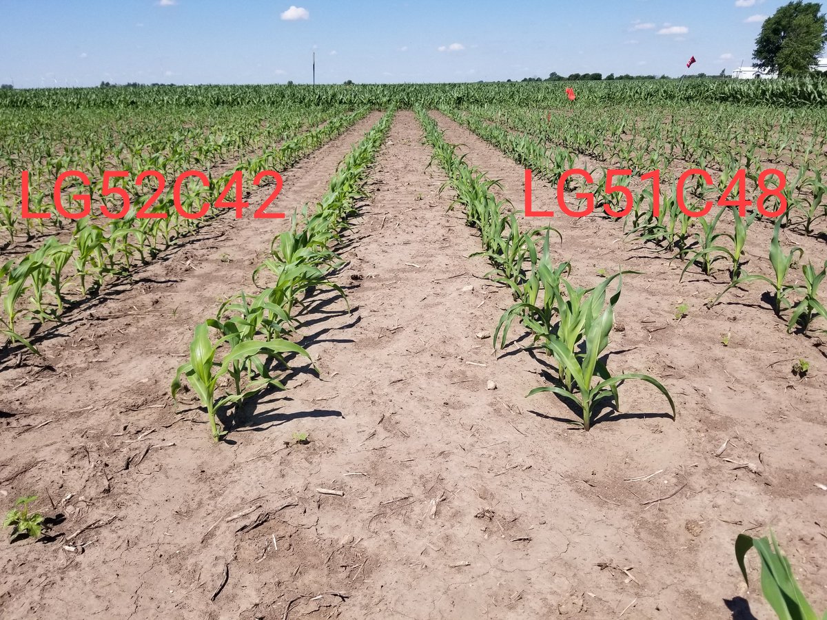 Tim Jordal tweet media