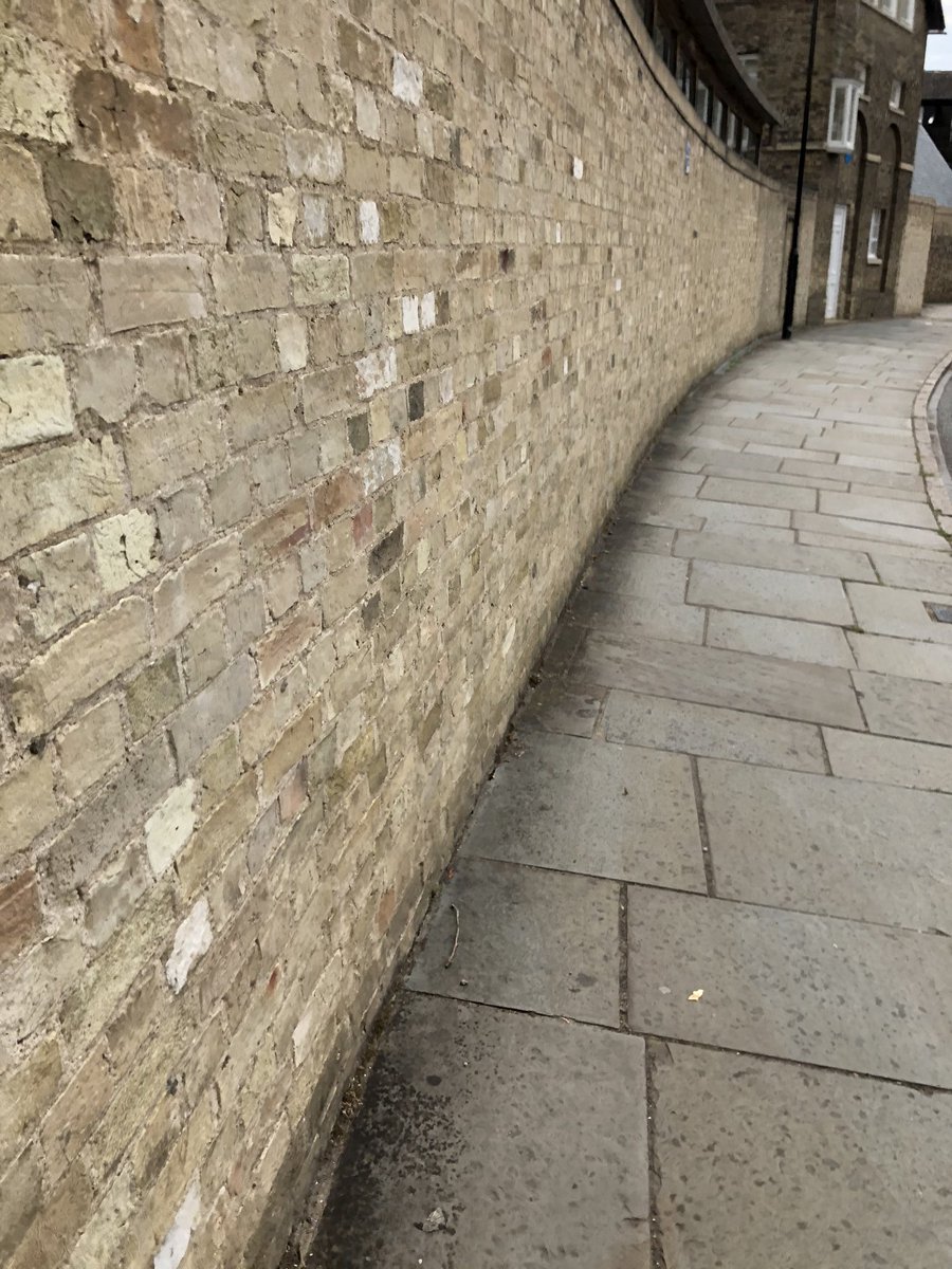  @CambTweetPBS  @cambtweeteduc  @cambtweetphd (Sorry, couldn’t get a good one of Darwin)