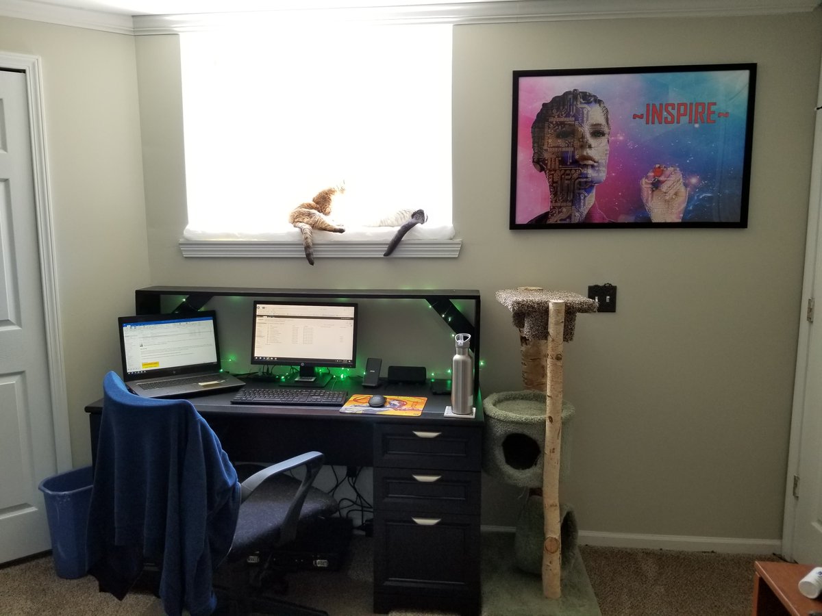 katenauthor's tweet photo. Helping the cats live their best lives...
#WindowBed #CatTreeReno https://t.co/JUTsuuxxRC