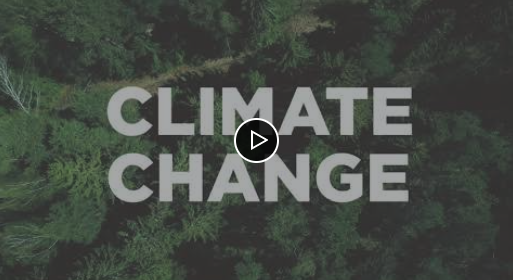 A very exciting free measurement tool by <a href="/circulareconomy/">Ellen MacArthur Foundation</a>, helping companies to build circular economy strategies, identify #innovative opportunities and monitor progress. The #CircularEconomy is the way of the future, why not be a first mover?

ellenmacarthurfoundation.org/resources/appl…