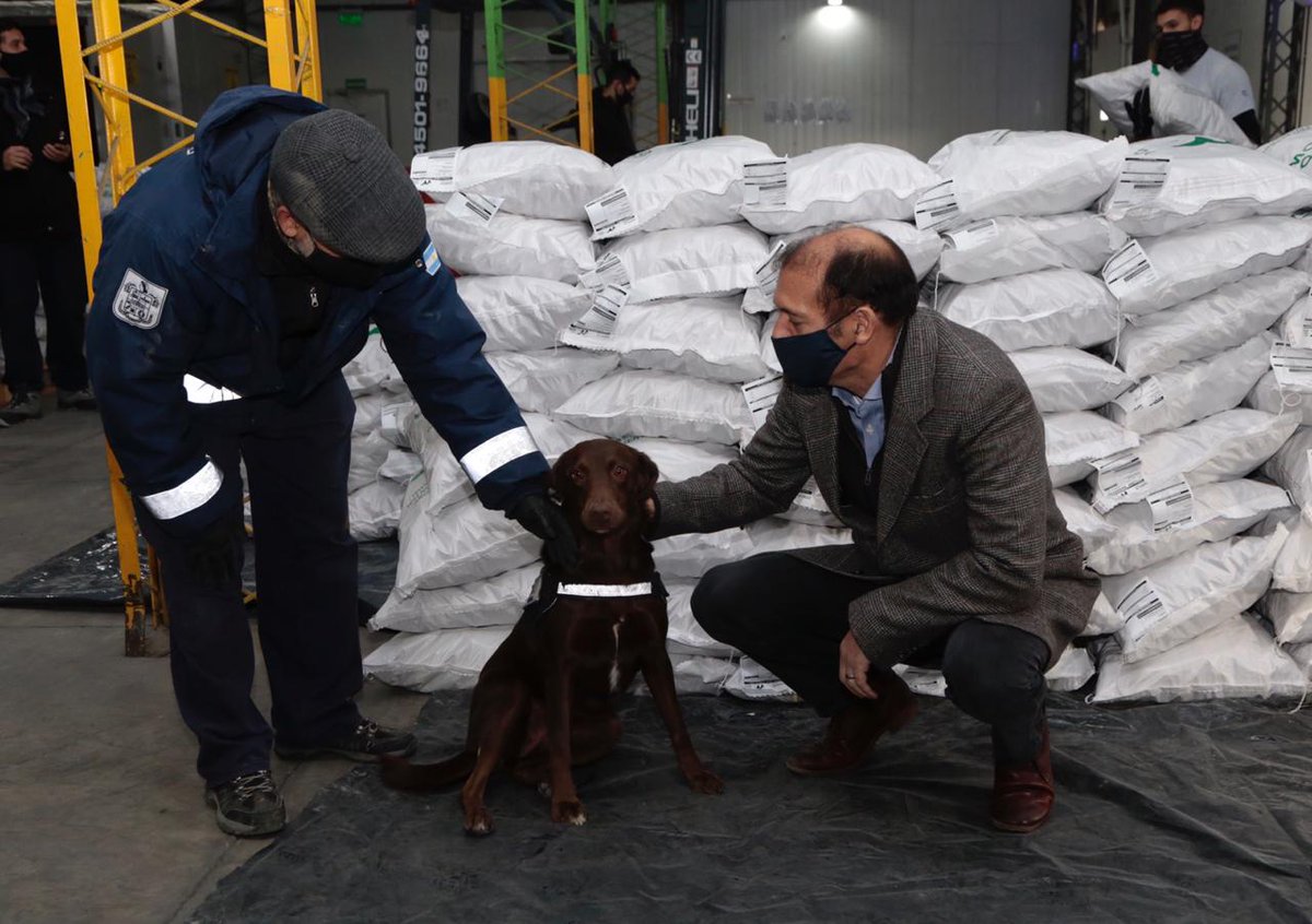 ¡20 toneladas de nueces neuquinas rumbo a Italia! Estamos muy contentos de saber que el trabajo de nuestros productores de Picún Leufú nos abre la puerta para seguir exportando frutos de calidad al mundo, ampliando la matriz económica de la provincia. #JuntosPodemosMás