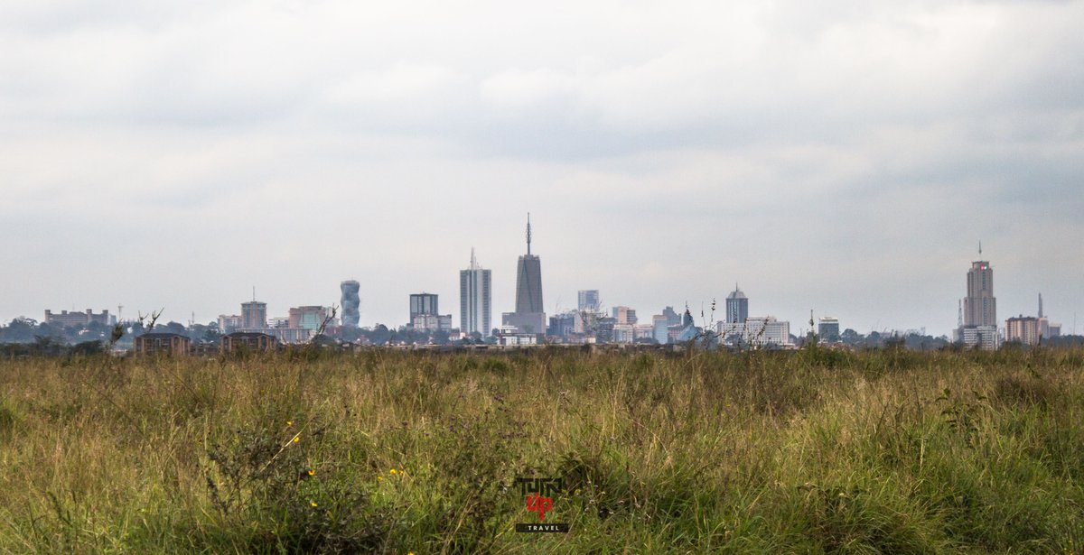 AccessTravelKE's tweet photo. The urban-vs-bush views are always captivating
Get in on the action with this week's game drives
๐ฉreservations@turnup.travel
#DiscoverKWSParks
#MakingDigitalWork254
#MagicalKenya https://t.co/RQS3SaVt6N