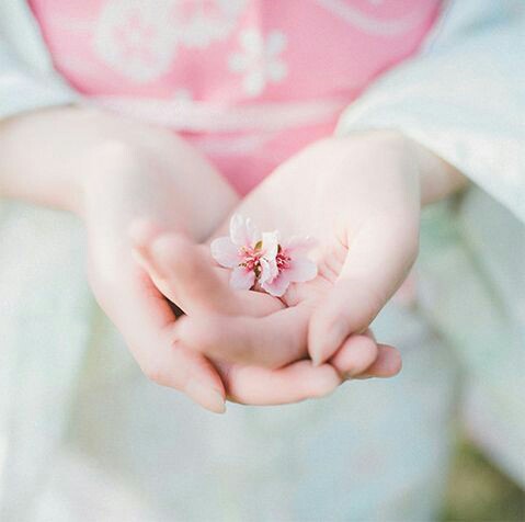 ^Areeba BaLoch^ tweet media