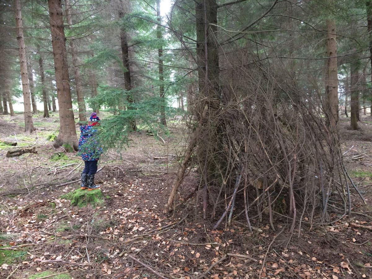 Graham71Scott's tweet photo. @OrmistonPrimary BS built a large Den using branches found on the forest floor and a large tree for support. #Rookieathome https://t.co/848mBdGYsv