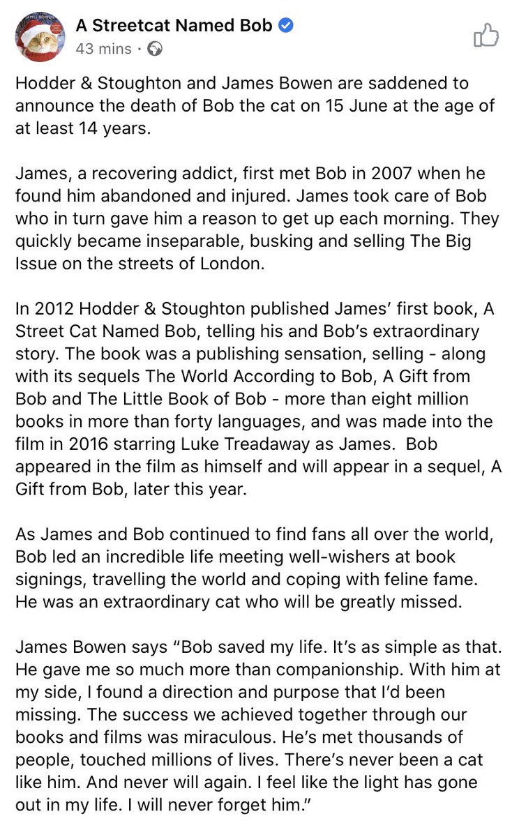 danni_ox_'s tweet image. This has actually broken my heart. 😢💔 RIP Bob 💜💜