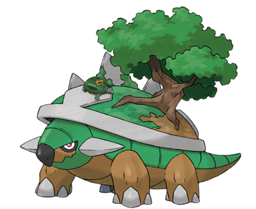 DailyJopo's tweet photo. Coco Jumbo &amp; Torterra;
One has a house on the inside, one can have a house on the outside https://t.co/iIFs1nznO7