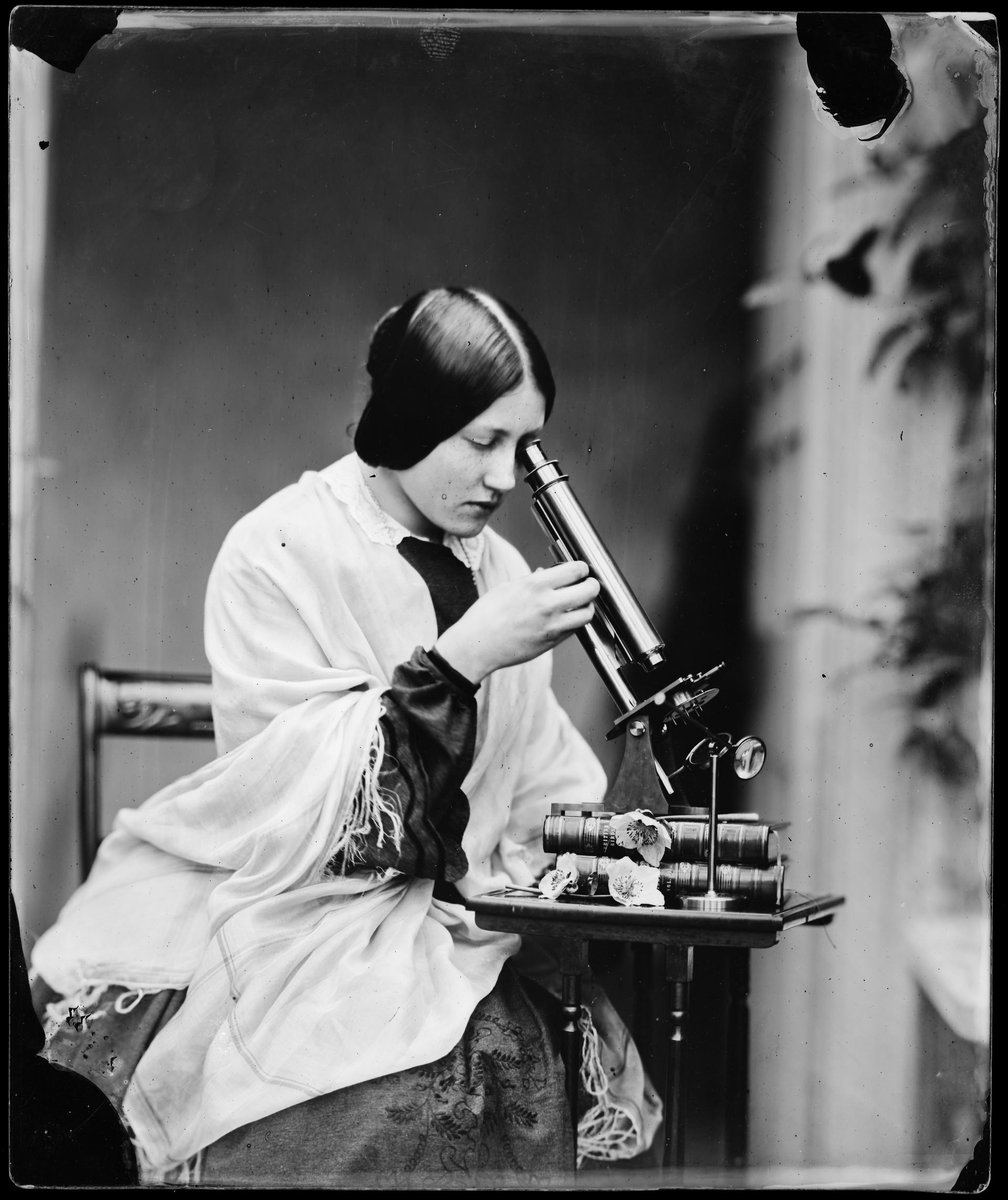 For #MuseumsUnlocked #Science

Thereza Llewelyn of Penllergare, near Swansea, with a microscope. Photograph taken by her father John in about 1853.

#HistoricPhotography