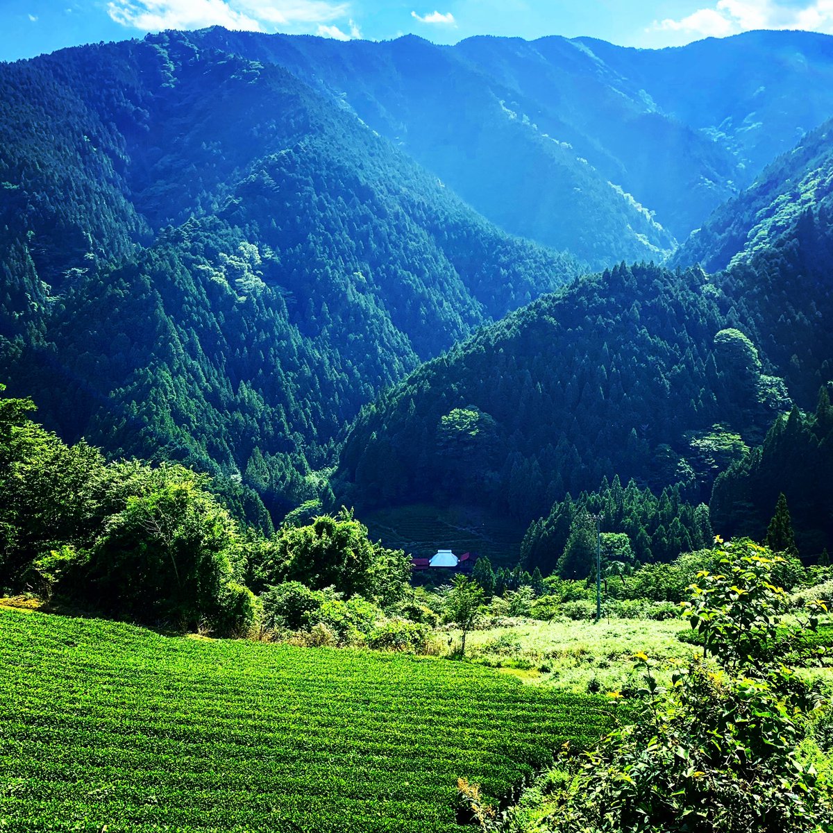 hidekiSHIRASAWA's tweet image. 【 #documentary_film】
#木村衛 監督と二人三脚で制作している「#DAIJYOBU」…かれこれ5年撮影しています。静岡県大井川上流長野県に近い山深いエリアにある #村上光照老師 の #禅道場 にて