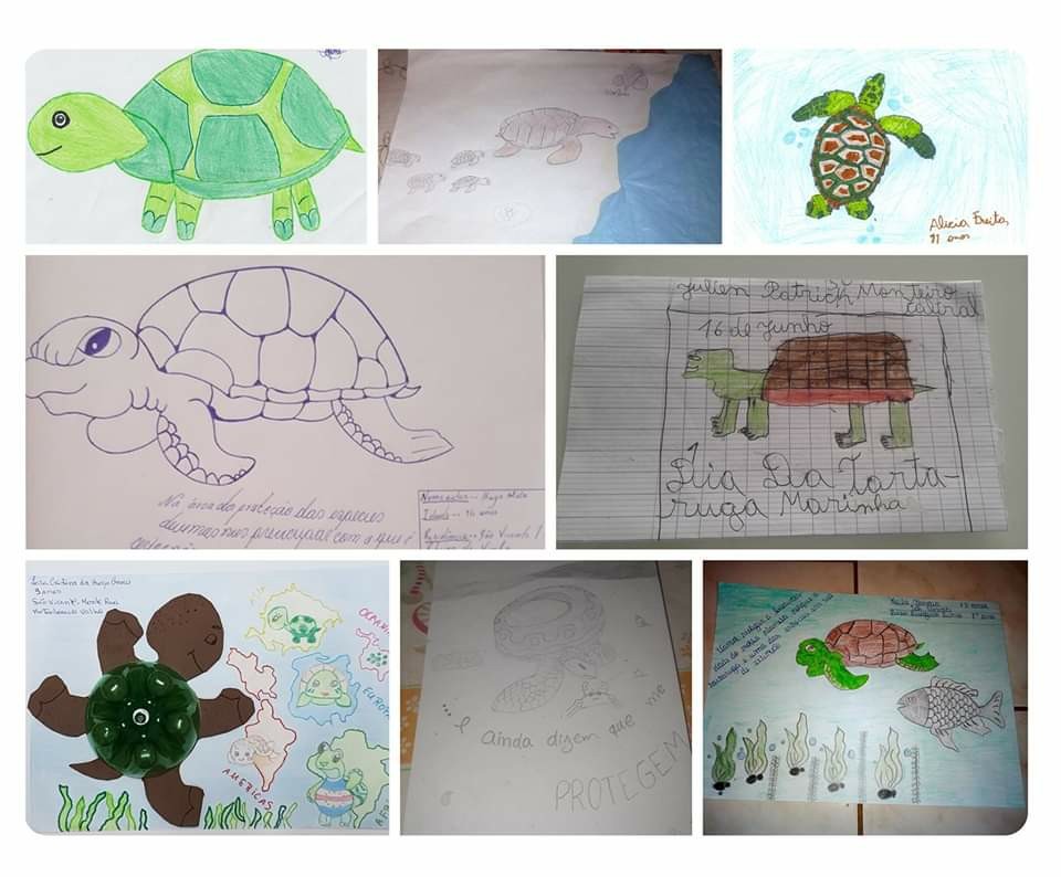 #InternationalSeaTurtleDay
At the age of 13, Alissa Andrade, is the big winner of our children's drawing contest to celebrate the 'International #SeaTurtleDay, launched on June 1st.
We thank all the children who participated in this activity, showing their creativity.