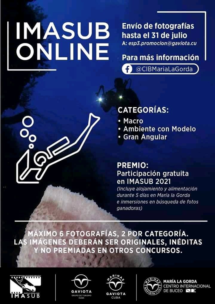 GaviotaTurismo's tweet photo. 📢Los invitamos a participar en el Concurso de Fotografía Subacuática #Imasub 2020, el cual este año, se celebrará en modalidad online.
👉 ¡Puedes participar, ya seas profesional o aficionado, con fotografías subacuáticas de cualquier lugar del mundo!
#Imasub2020 #GaviotaTurismo https://t.co/GKNr6C8og2