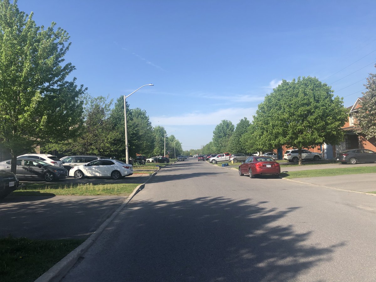 TreeCanada's tweet image. We love seeing streets lined with #trees as far as the eye can see! Share your #TREEphotograph and help us grow the biggest #virtualforest! 
📸 @vmolino0809 
🗺️ #OrleansON #ottcity

Also, have a look at the full virtual forest on our website: ow.ly/OTo350A0lmb