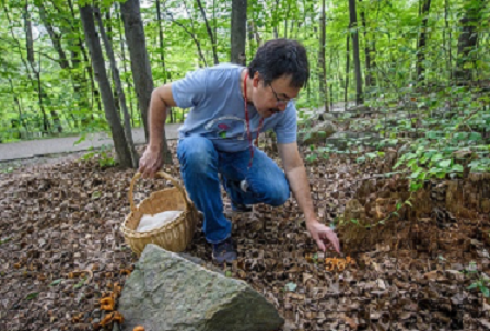 TrueDegree's tweet photo. You're a what? Learn what a #Mycologist does. https://t.co/Dlb0e5Av70 - @BLS_gov #pathology #crops #hospitals #epidemiologists #mushrooms #farming #foraging #careers https://t.co/ZFgy5bfY52