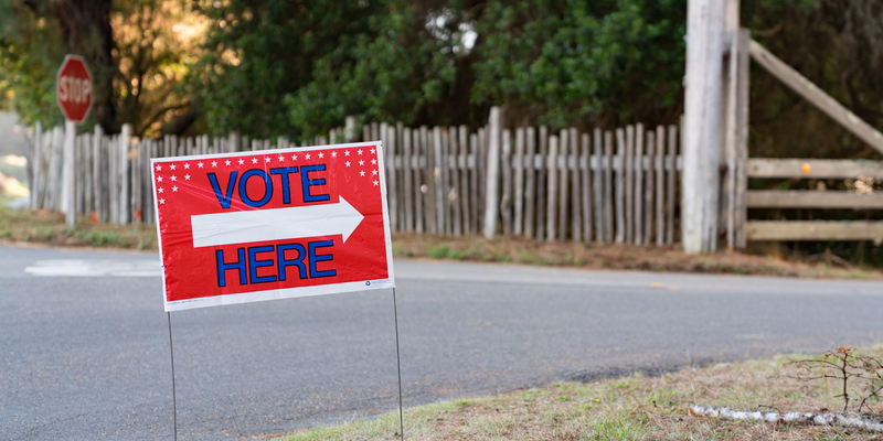 NetVictories's tweet image. How COVID-19 Could Reshape Digital Persuasion and GOTV bit.ly/2UqVTjJ