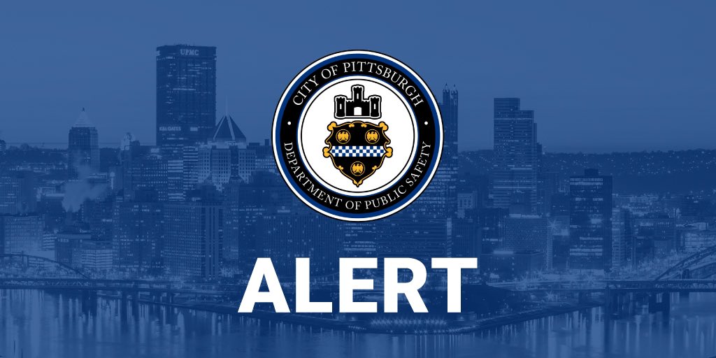 PghPublicSafety's tweet photo. ALERT: There is a large black bear in the Highland Park neighborhood. The bear is calm (currently resting under a tree), but it is a wild animal and is unpredictable. Avoid the area if you are not here. If you live in Highland Park, get indoors. https://t.co/bZK8VeD1Px