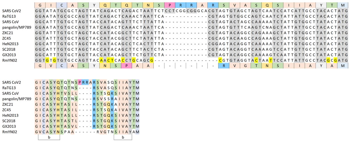 32/n RmYN02 has low homology through the S gene and its PAA residues are consistent with nucleotide substitutions rather than “insertion and deletions”: This very site has previously been used for GOF studies of the SARS-1 CoV, whereby researchers introduced polybasic residues