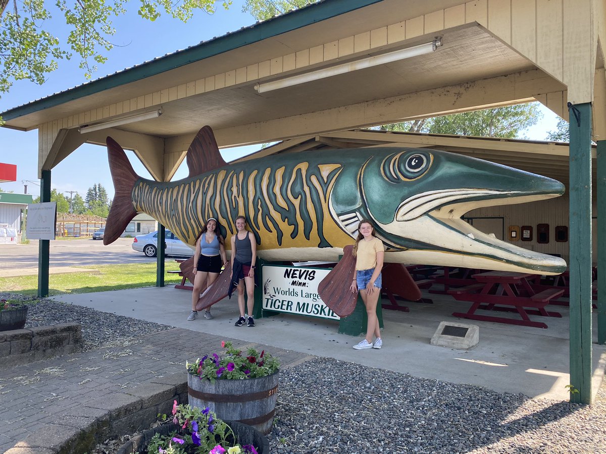 When you drive through Akeley, MN you must get a picture with Paul Bunyan. When you drive through Nevis, MN you must get a photo with the Muskee. I don’t make the rules.