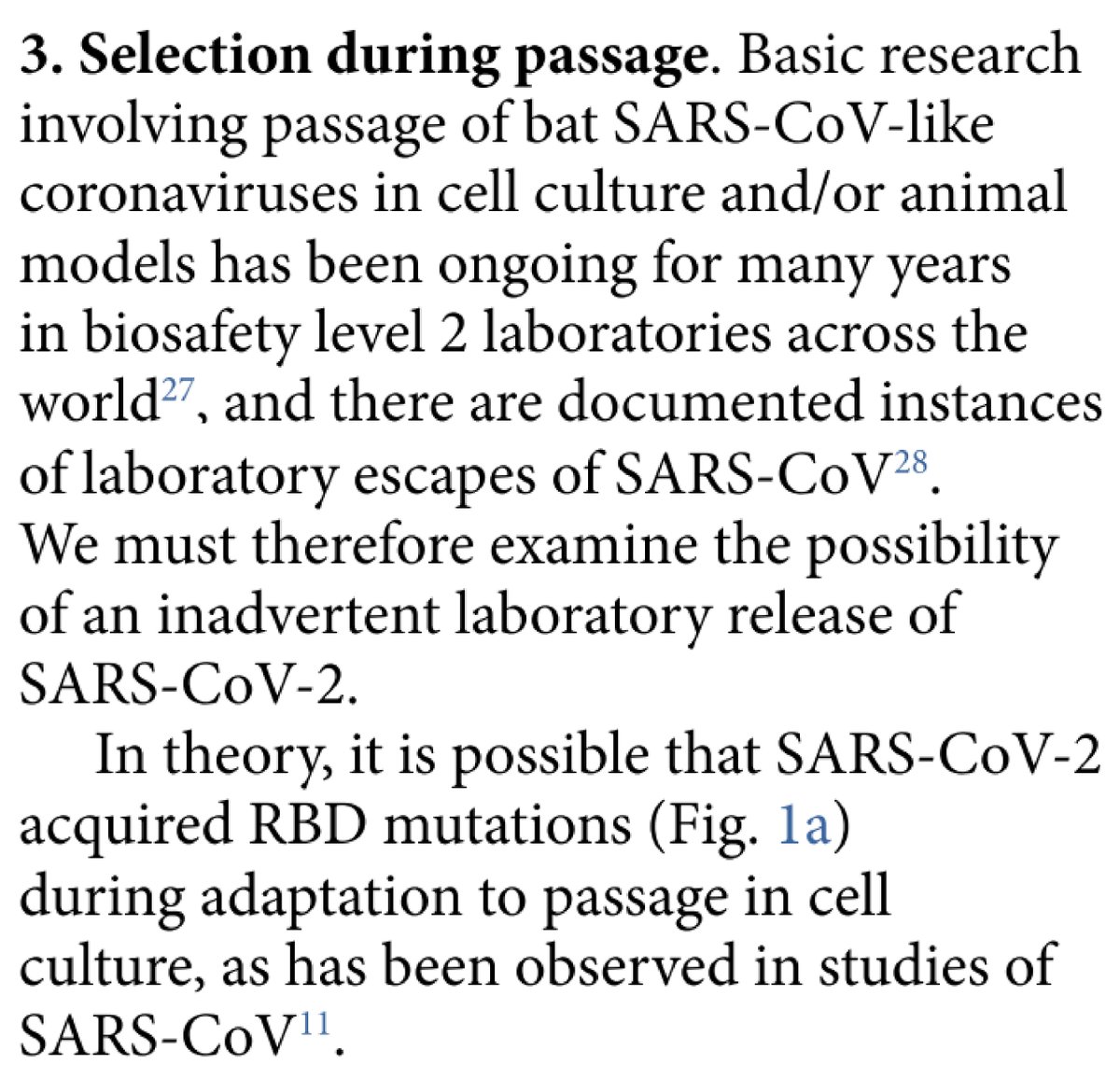 34/n To the credit of the Clique, in “Proximal origins” they include the below paragraph. Indeed, natural passage of an RaTG13-like virus in cell culture or animals (e.g. ferrets) could generate something like CoV2 and these experiments are routinely performed in labs