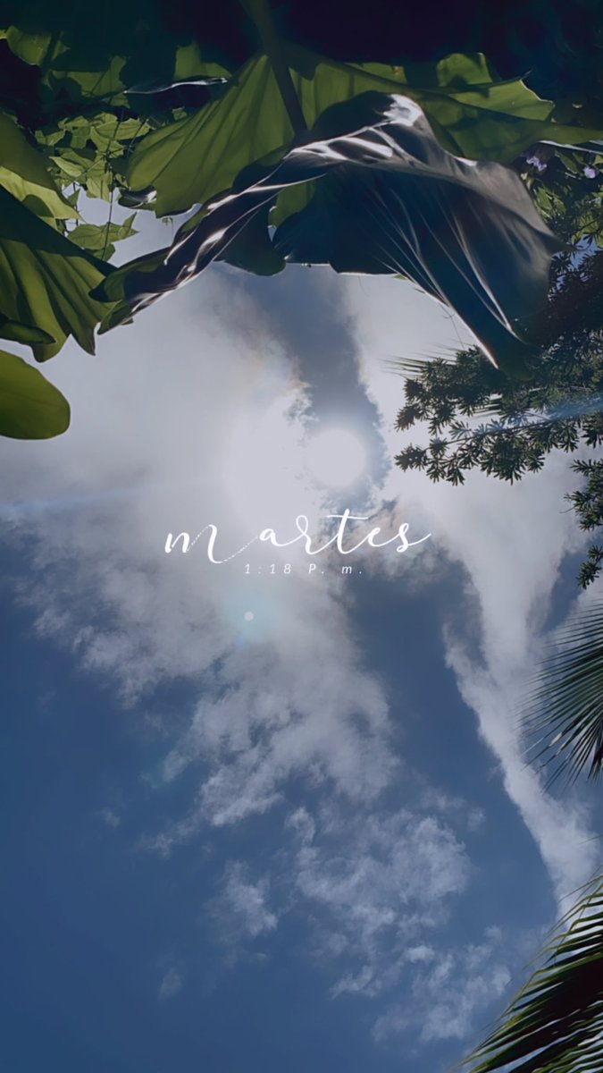 Fluir no forzar. Fluir no forzar. Fluir no forzar 🌊🌊🌊