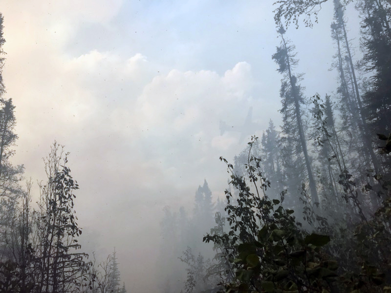 AK_Forestry's tweet photo. Can you spot the plane in this photo taken June 13 during initial attack of the 50-acre Any Creek Fire burning about 10 miles north of Fbx near Old Murphy Dome Rd? Thanks to Any Creek Fire Incident Commander Thomas Krock for the photo.
#AnyCreekFire #Whatplane? #Itsabirditsa… https://t.co/TK4Y1yspMG
