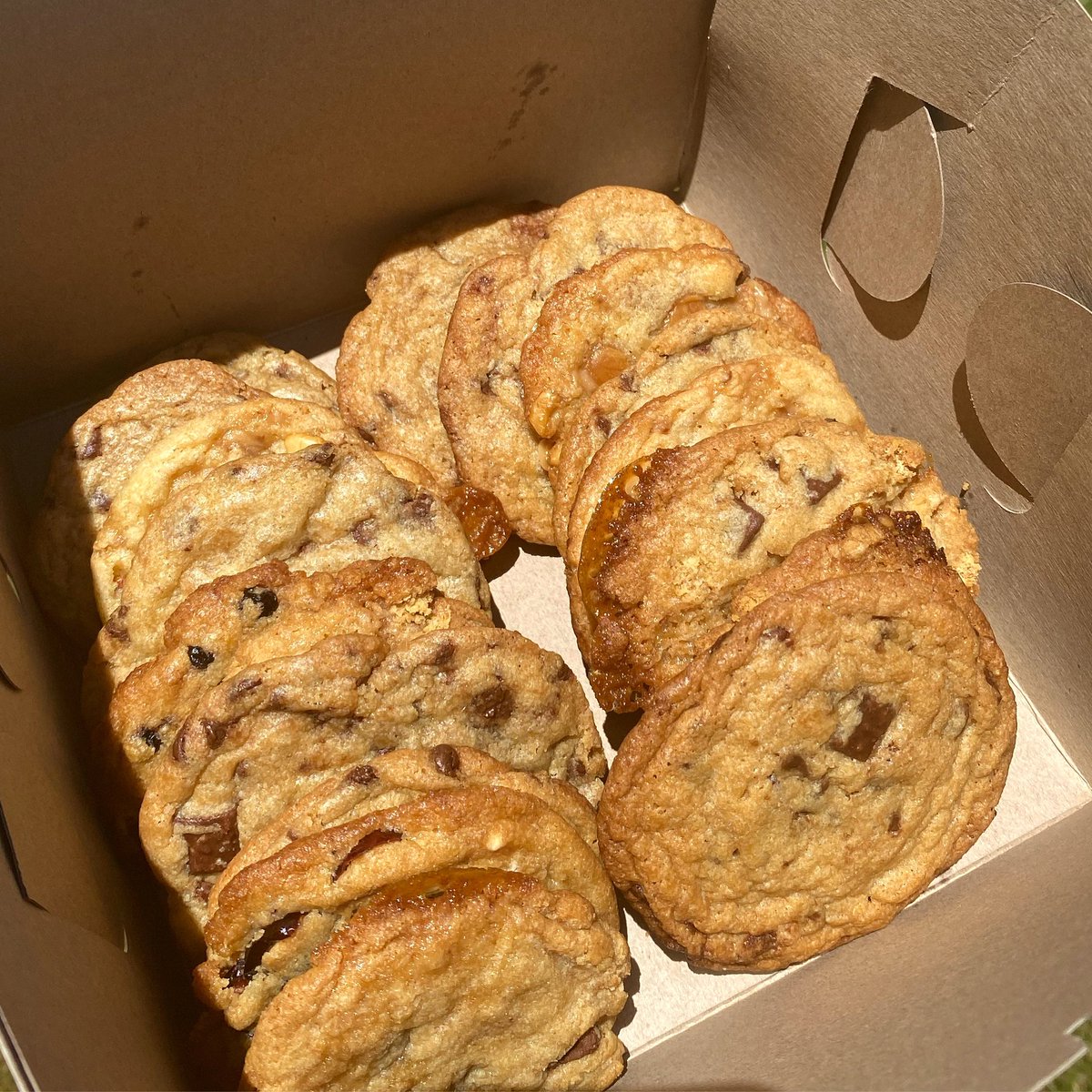 DCookieDoe's tweet photo. Cookie delivery! https://t.co/k4nTR3Tmdl