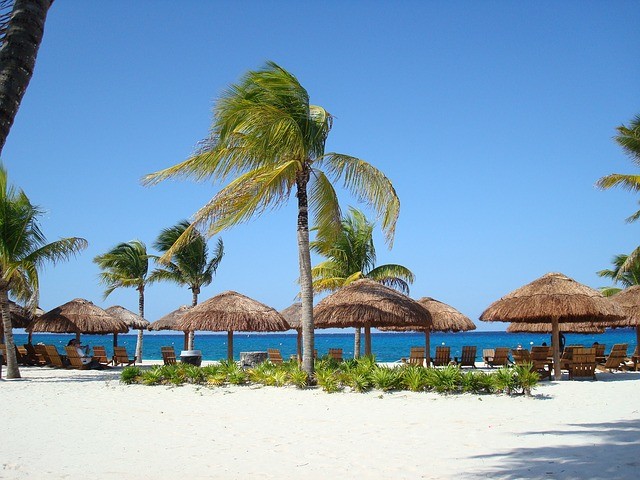 Photo By violetta | Pixabay 
 #beach #beautifulbeaches #vacations #cozumel #caribbeanbeach #caribbeantravel #mexicovacation #caribbeanisland