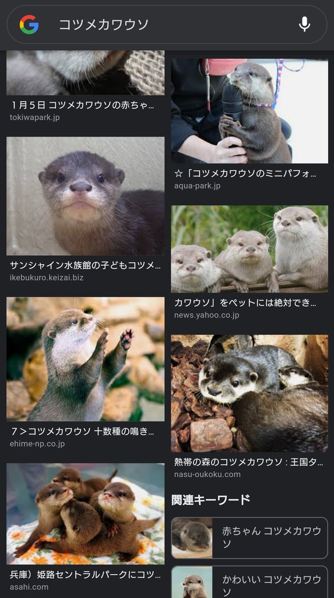 カワウソ 濱家